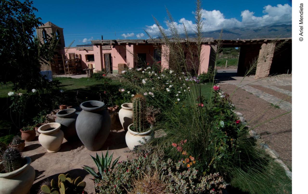Finca Huayrapuca Famatina Extérieur photo